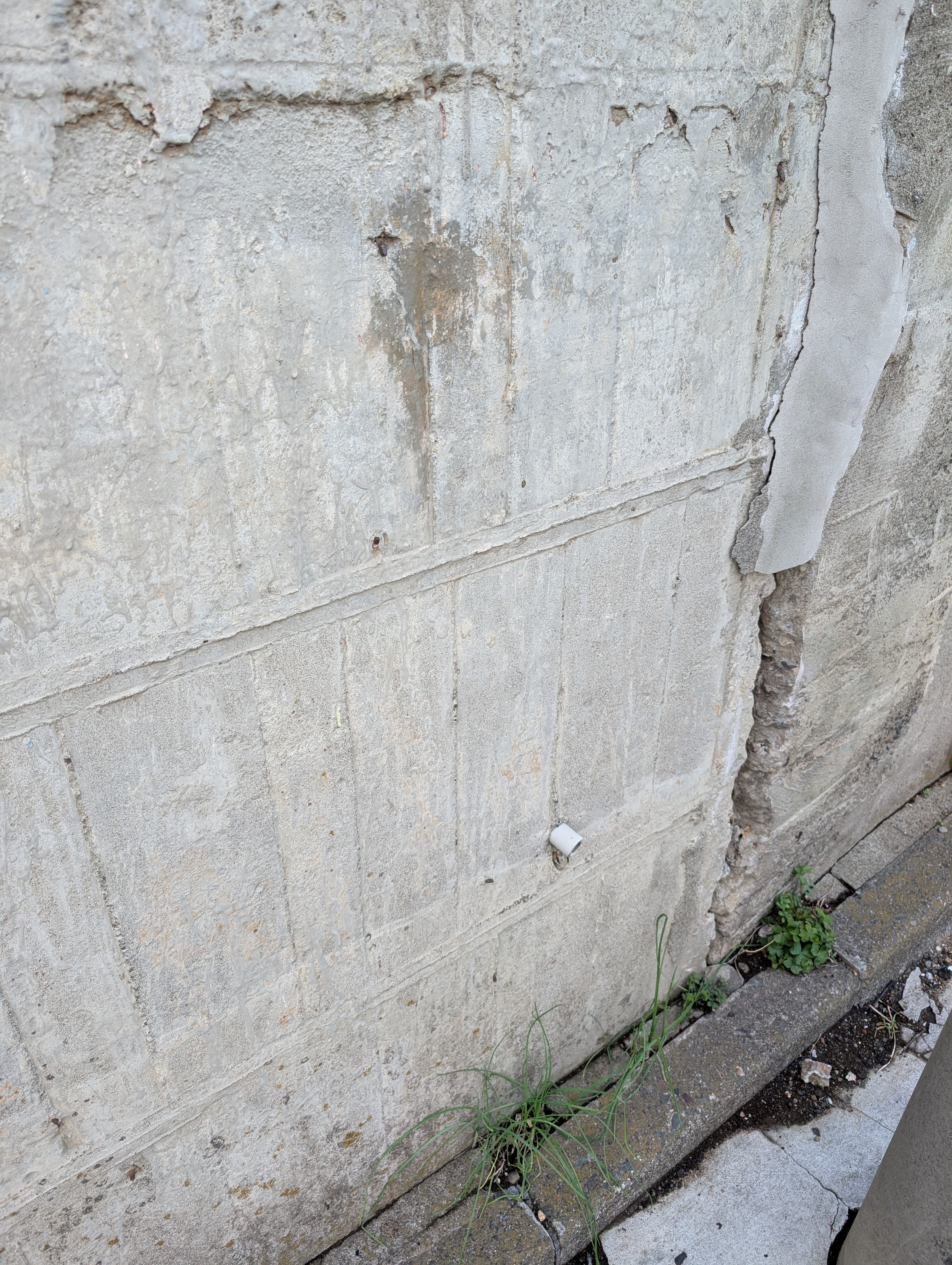 擁壁診断士が現地で詳しく確認している様子